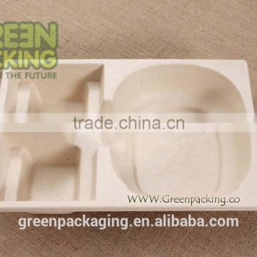 Biodegradable Electronic Products packages from Bagasse