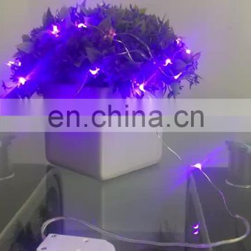 Outdoor Decoration DC5V 20leds 2meter Led Copper Wire Soft String Lights With Battery