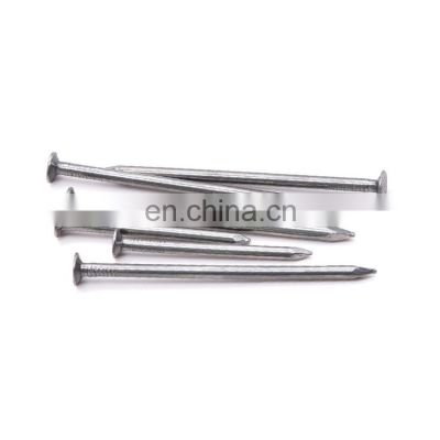 China Electro Galvanized Common Nails Q195 Common Iron High Quality Steel Nail
