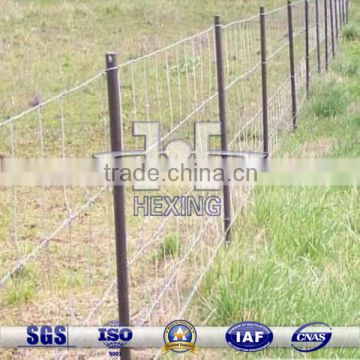 Electro Galvanized Wire Mesh for Grassland Fence