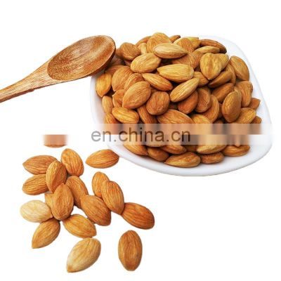 Cheap raw almond in shell nuts Organic badam almond nuts Wholesale bulk badam nut