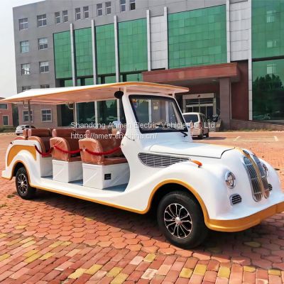 Bazaar public bus electric sightseeing car tourist car golf cart 11 seats