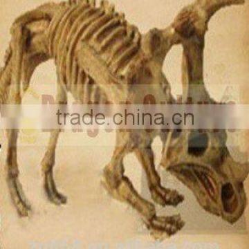 Top quality Hot sale life size Dinosaur Fossil