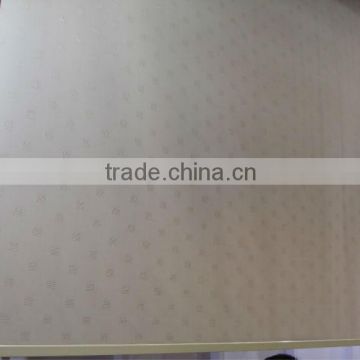 Translucent Siimplestyle roller blind fabric