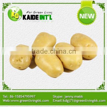 China Specification Of Potatoes Supplier