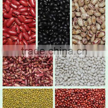 Non-Gmo pulses and grains, all kinds of kidney beans