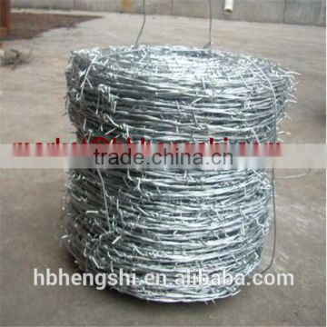 hot dipped or electro galvanized barbed wire