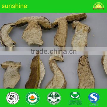 High quality boletus magic dried mushroom slices from yunnan