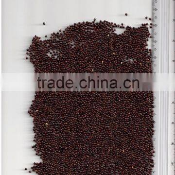 BLACK MILLET