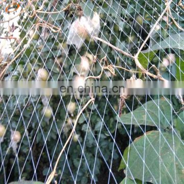 birds nets for catching canary/ bird mist net, Network Poultry bird catching