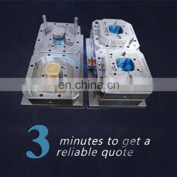 Plastic Mold Manufacturer Making Mold For Plastic Filter Housing plastic Injection Molding Service