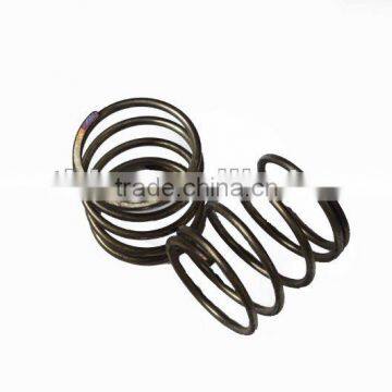 Valve Spring