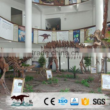 Museum Standard High Quality Dinosaur Skeleton
