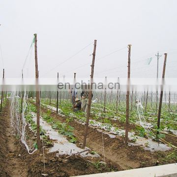 China manufacturer offer plastic HDPE cucumber netting plants protection net