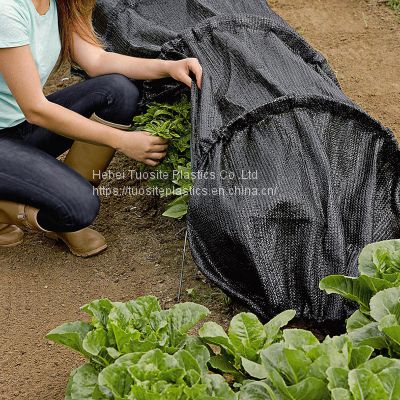 UV Protection Agricultural Sun Shade Net Black Vegetable Shade Cloth