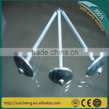 Guangzhou Factory Free Sample Nails steel/construction nails/umbrella nails                        
                                                Quality Choice
