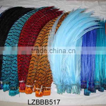 Dyed colors Long Pheasant tail feathers LZBBB517