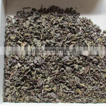 export tea from professional factory in China gunpowder tea 9501