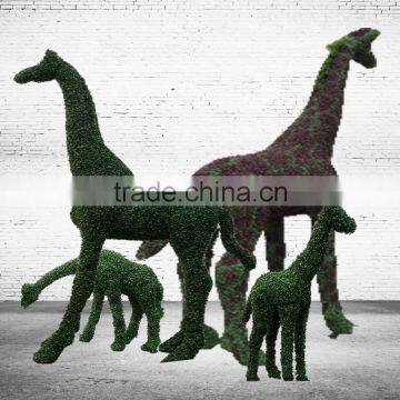 Different Shape Artificial Grass Giraffe Topiary