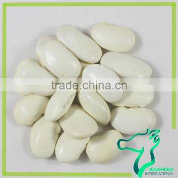 Exporter Of Large Type White Kidney Beans Promotion Price