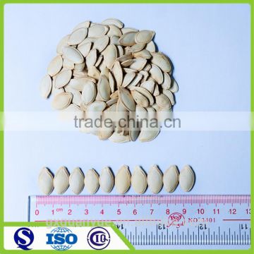 Comment cultivation dried pumpkin seeds