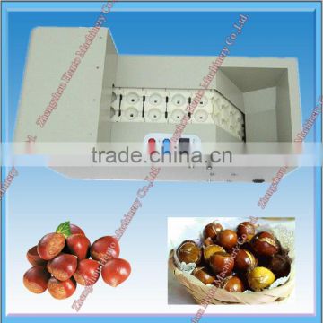 Competitive Chestnut Tapping Machine Price/Opening Machine