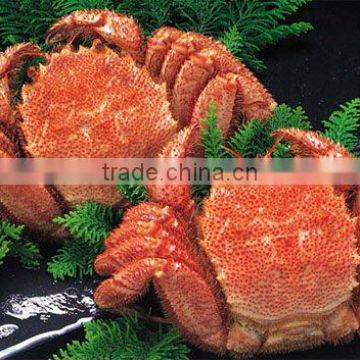 Frozen/Fresh Hairy crab from Hokkaido/Russia