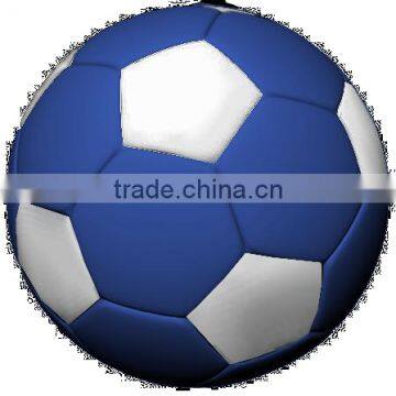 Blue & White Soccer Ball