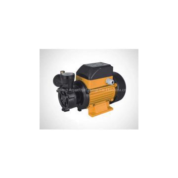 Vortex pump / Peripheral pump DB125