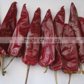 2013 New Crop Dried Chilli Paprika With Stems