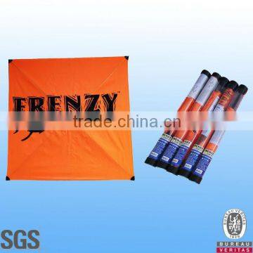 Promotional Fishing Kite