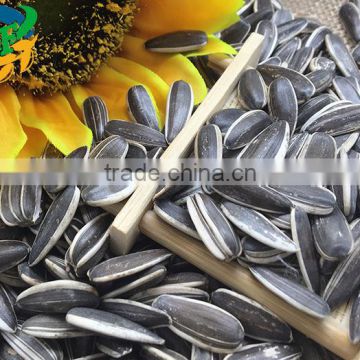 Cheap Sunflower seed 5009 oil