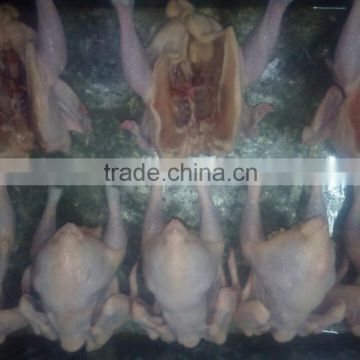 whole chicken for sale