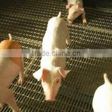 pig mesh crimped wire mesh,Breeding net