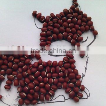 Adzuki Bean( New crop, Heilongjiang origin, hps)