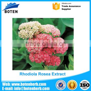 high quality GMP Organic Rhodiola Rosea Extract for Sex Enhancement Exported to Worldwide