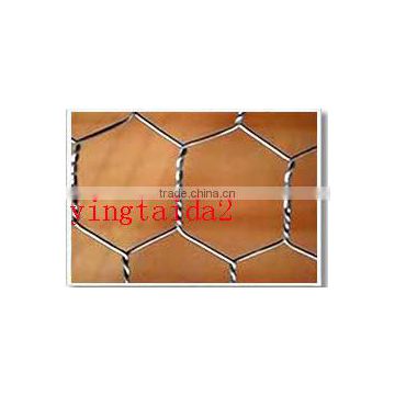 chicken wire mesh/ hexagonal wire mesh