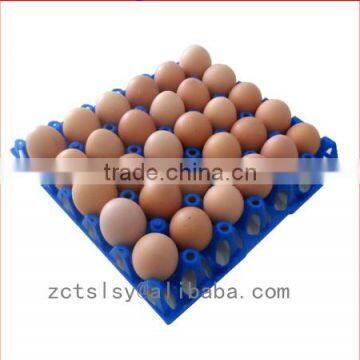 30 holes hotsale plastic egg cartons