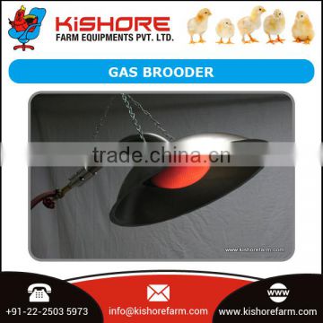 Gas Brooders for Mass Buying by Reliable Exporter