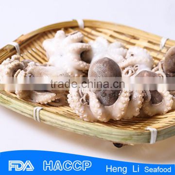 High quality price baby octopus