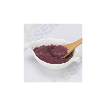 Freeze Dried blueberry powder