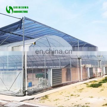 Multispan Plastic Film Greenhouse With Intelligent Control System For Sale
