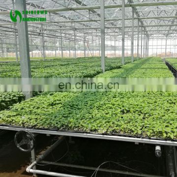 Nursery In Bangladesh Commercial Greenhouse Seedbed Bench