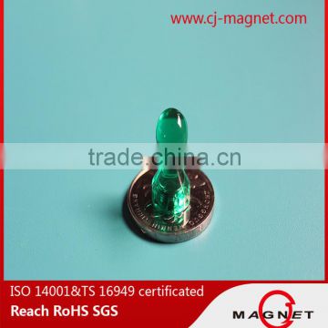 small radial magnetized educational neodymium magnet pins