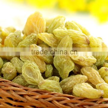 hot sell dried sultana raisin seedless grape