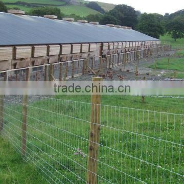 Anping county iron prairie fence(manufacturing)