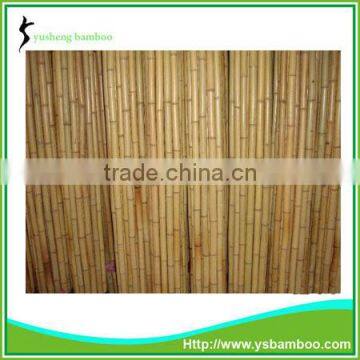 colored bamboo poles