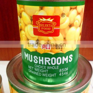 New Fresh Canned Mushroom