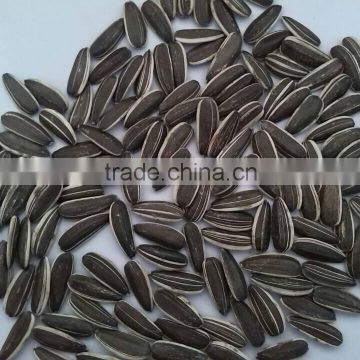 china product raw sunflower seeds