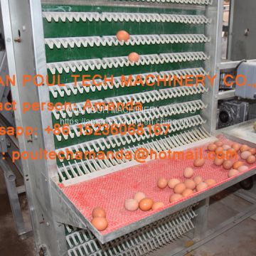 South Africa Chicken Farm Hot Galvanized Cage A Type Battery Laying Hen Egg Cage & Layer Chicken Coop with 120 birds in Shed